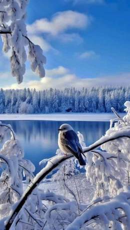 ???????????????????????????????????? ????????????????????????  #naturelovers #nature #NatureBeauty