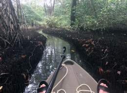 Shelley Hennig Nude Photos, Scenes and Porn - Scandal Planet