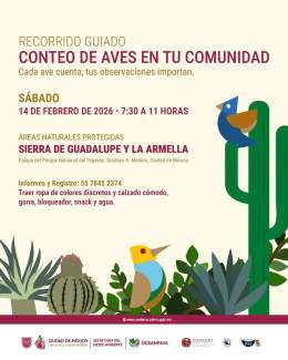 Participa en el recorrido guiado “Conteo de aves en tu comunidad” y conoce la biodiversidad que te rodea. La cita es en la Palapa del Parque Nacional del Tepeyac, el 14 de febrero, de 7:30 a 11 h. Informes y registro: 55 7845 2374. Te invitamos a seg