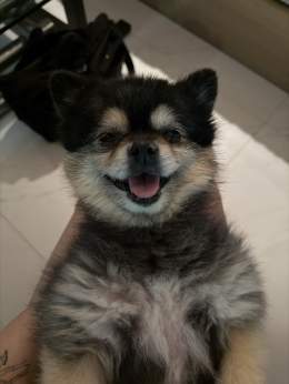 그래 가자