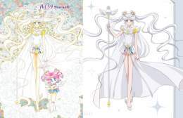 #セーラームーン #sailormoon #сейлормун #sailormooncosmos #sailormooncrystal