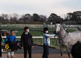 23/01/28 東京競馬場　10R クロッカスS  ヤクシマくん、1着( &bull; ̀&omega;&bull;́ )\u2727 おめでとうございます