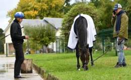 今年も熱くしてくれた日本馬のチャレンジに感謝。 果敢に逃げた #タイトルホルダー 3歳で挑んだ #ドウデュース 2年連続で挑んだ #ディープボンド 海外を転戦した #ステイフーリッシュ  4頭が4頭なりの形で挑んだことが今後に繋がってくれることを願って  #凱旋門賞