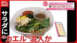 『サラダにカエル混入』イトーヨーカドーで事件！「想定外のトッピング！」  #サラダ #カエル混入