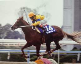 サッカーボーイ。88年のマイルチャンピオンシップ(11月20日)では4馬身差の圧勝。強烈な「弾丸シュート」が炸裂。海の向こうではサッカー「ワールドカップ2022」が開幕です。#マイルCS　#競馬　#ワールドカップ　#サッカー