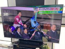 オジュウがNHKに！ #オジュウチョウサン