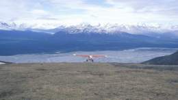 Pictures