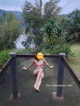 Pictures