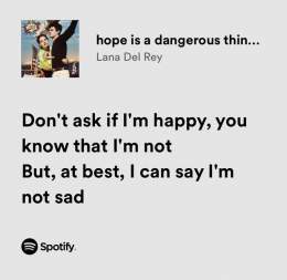 lana del rey / hope is a dangerous thing..