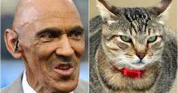 We did not have @Yahoo doing a story on our tweet about @TonyDungy peddling hateful anti- lies on our bingo card today&hellip;