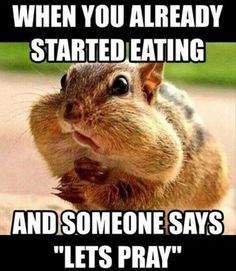 Stop Chewing. Happy Thanksgiving.