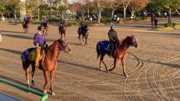 おはよーございます 今日も全人馬が無事に&hellip; #美浦トレーニングセンター  #ウインカーネリアン  #マイルチャンピオンシップ