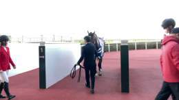 #阪神競馬場 のメインレース #チャレンジカップ は #ソーヴァリアント   おめでとうございます  #東スポ競馬 #競馬