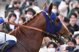 【#ドバイゴールデンシャヒーン】１０着大敗 #レモンポップ は初の千二が応えたか　田中博調教師「かわいそうな選択をさせてしまった」  #東スポ競馬 #競馬