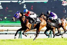 【 #黒松賞 】「 #サクラバクシンオー に似ていますね」　清水英調教師は #ブーケファロス の差し切りＶに笑顔   #東スポ競馬 #競馬 #POG