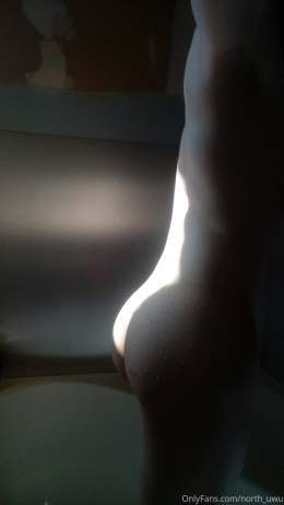 North (@north_uwu)