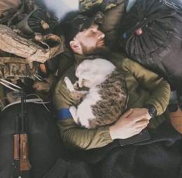 Sleep&hellip;  #Ukraine #UkraineRussiaWar #UkraineWar #Leopard #CatsOfTwitter #CatsOnTwitter #RussiaisATerroistState #UkraineWarNews #UAarmy #ukrainecounteroffensive #Zelensky #UkraineRussiaWar️