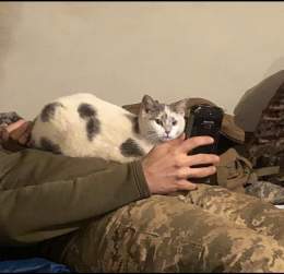 Good night  #Ukraine #UkraineRussiaWar #UkraineWar #Leopard #CatsOfTwitter #CatsOnTwitter #RussiaisATerroistState #UkraineWarNews #UAarmy #ukrainecounteroffensive #Zelensky #UkraineRussiaWar️