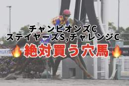 . 絶対買う穴馬  ･チャンピオンズC ･チャレンジC ･ステイヤーズS  今週は3重賞！楽しみですね！   #BOOKERS