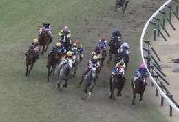 \u25a0日経新春杯  1着ヴェルトライゼンデ(斤量59kg) 内で溜めてロス無く直線は馬場の良いところ。直線逆手前。  3着プラダリア(斤量56kg) コーナー通過5-5-8-10。 先行\u25b6\ufe0f︎向正面位置下げ\u25b6\ufe0f︎コーナー外6のロス有り。直線逆手前。  斤量と距離ロスを相殺して2頭が強いという回顧になりました