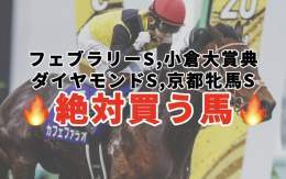 絶対買う馬  ・フェブラリーS ・ダイヤモンドS ・京都牝馬S ・小倉大賞典  今回も全て穴馬です！ フェブラリーSは昨年\u25ceカフェファラオで的中したレース！！  #BOOKERS
