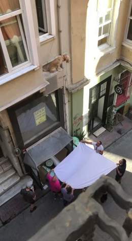 Стамбул1:1913.4K views