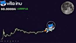 Who's ready for the upcoming bullish   The more $VINU you hold, the more chances you have to become a millionaire   #Bitcoin #btc #altcoin #BSCGems #BSC #ETH #Crypto #cryptocurrency #memecoin