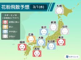＜今日も花粉大量飛散か＞ 今日も気温が上がる影響で、関東から西の地域では花粉が多く飛び、特に関東では、昨日に続いて大量飛散のおそれがあります。花粉症の方は対策を万全に行うことをおすすめします。 九州などは雨が降り出すと花粉の飛散は少し抑えられそうです。