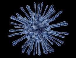 Potentially fatal Candida auris fungus spreading in US hospitals: CDC
