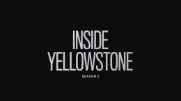 "It's gonna be bloody." #YellowstoneTV