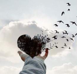 " فوضت أمري للذي لا يغفل، ولا ينام، ولا يكسر بخاطري." #اسطول_زعماء_توتير