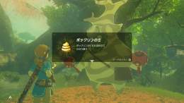 頑張った結果がウンコ #ゼルダの伝説 #BreathoftheWild #NintendoSwitch