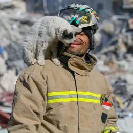 He saved her from the rubble, and she will now stay by his side for the rest of his life. A picture for a rescue worker and a cat he saved after the #earthquake in #Turkey. As a fellow rescue worker, I understand the tremendous psychological impact t