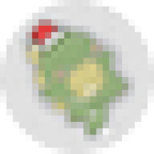09ium