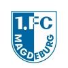1.fcm