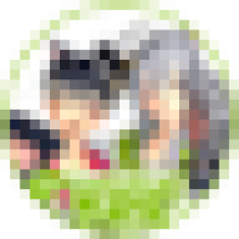 1100re.vale