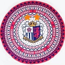 15wi