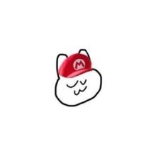 39.pipi