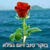 49d728bbdb6844b