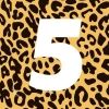 5channel