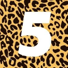 5channel
