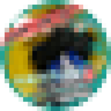 71311.hal