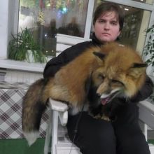 aagridnev