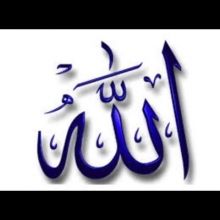 aali6661