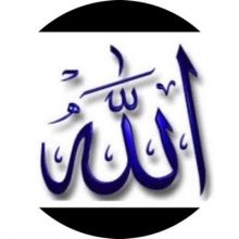 aali6664.ali
