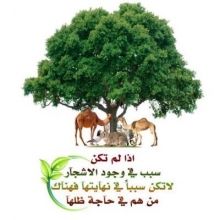 abdullah91194