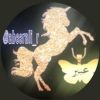abeerali.r