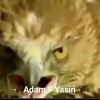adamfyasin8