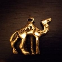 adil0081
