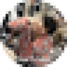 aeiaoey